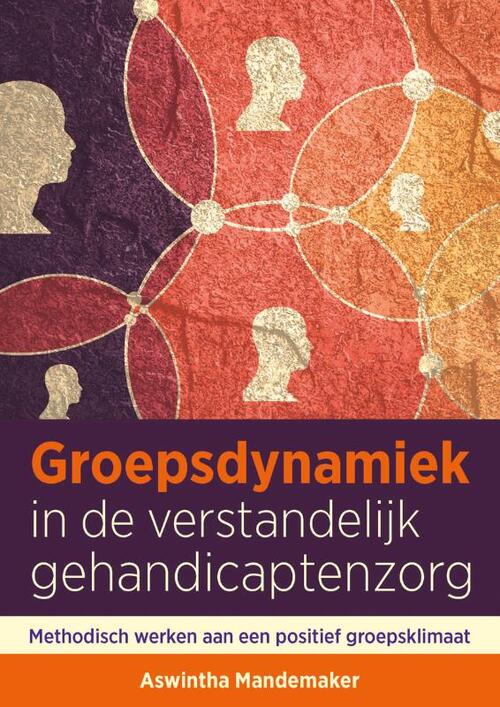 Groepsdynamiek in de verstandelijk gehandicaptenzorg -  Aswintha Mandemaker (ISBN: 9789088508967)