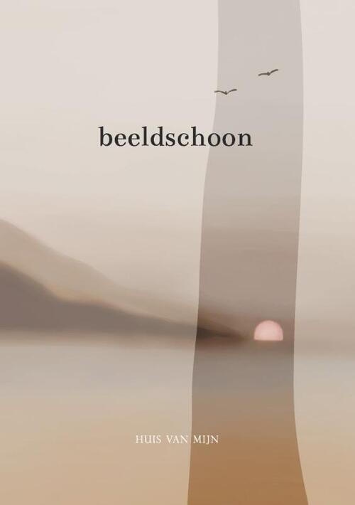 Willianne Treurniet-Noteboom Beeldschoon -   (ISBN: 9789088974090)