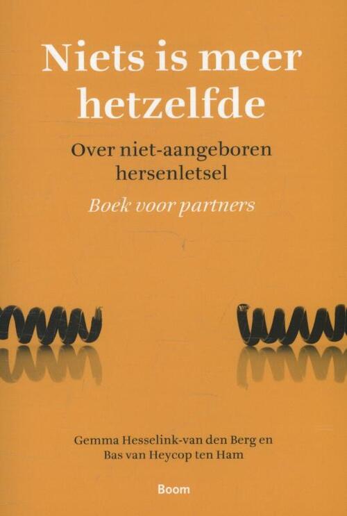 Niets is meer hetzelfde -  Bas van Heycop ten Ham (ISBN: 9789089531223)