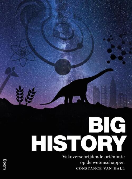 Big history -  Constance van Hall (ISBN: 9789089535214)