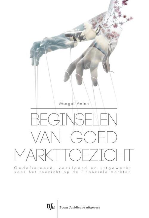 Beginselen van goed markttoezicht -  Margot Aelen (ISBN: 9789089749826)