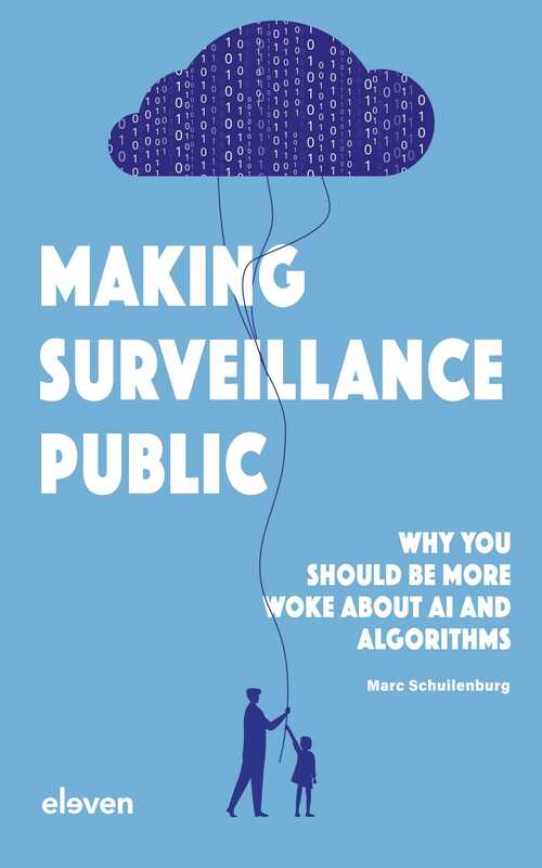 Making Surveillance Public -  Marc Schuilenburg (ISBN: 9789400113923)