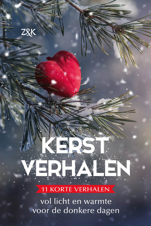 Kerstverhalen -   (ISBN: 9789401913386)