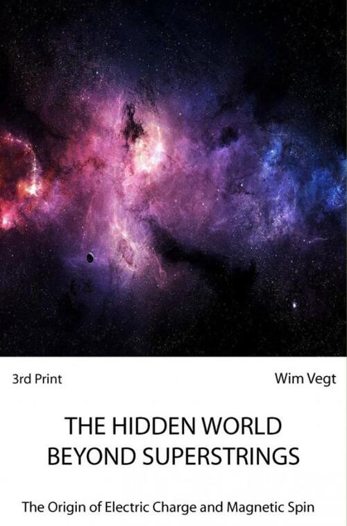 The Hidden World Behind Superstrings -  Wim Vegt (ISBN: 9789402180053)