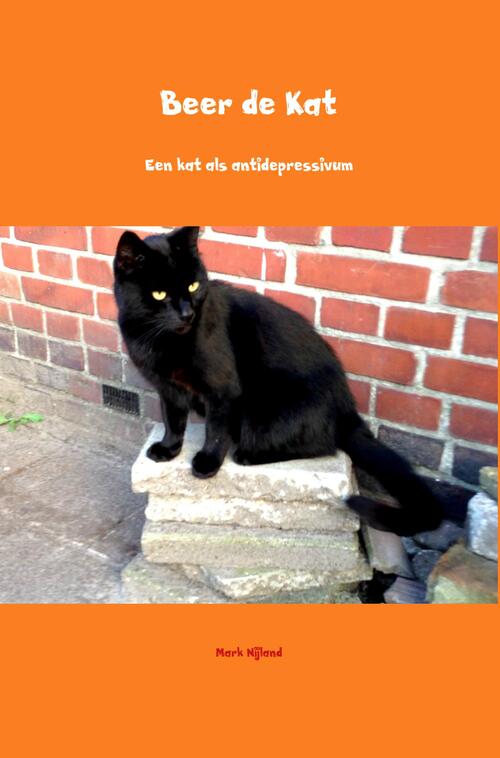 Beer de Kat -  Mark Nijland (ISBN: 9789402193022)