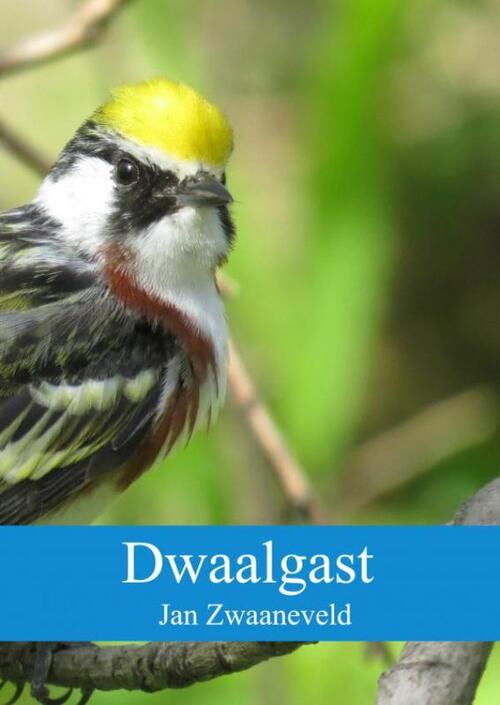 Dwaalgast -  Jan Zwaaneveld (ISBN: 9789402194821)