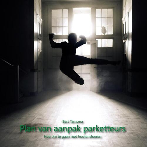 Plan Van Aanpak Parketteurs -  Bert Tamsma (ISBN: 9789402196931)