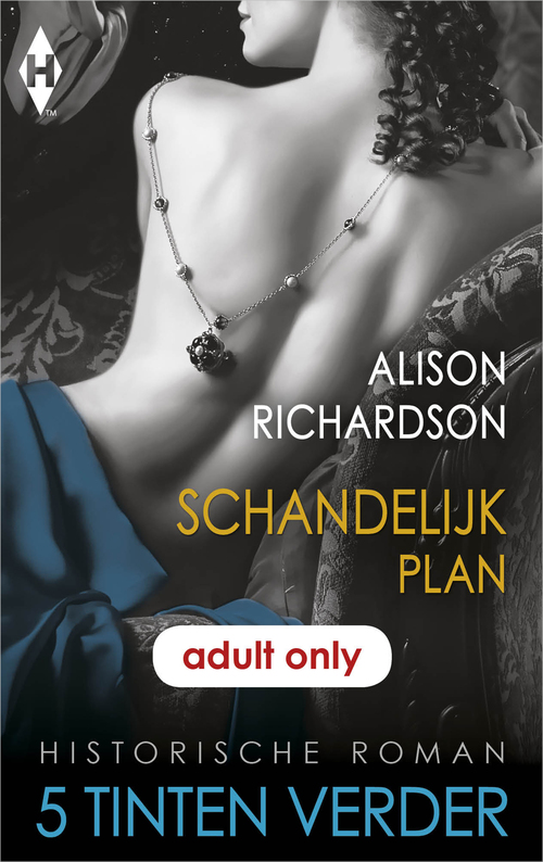 Schandelijk plan -  Alison Richardson (ISBN: 9789402529081)