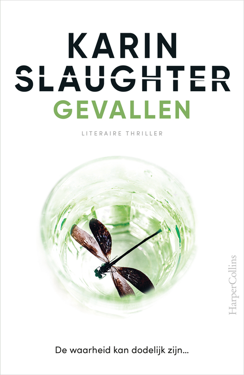 Karin Slaughter Will Trent 5 - Gevallen -   (ISBN: 9789402758184)
