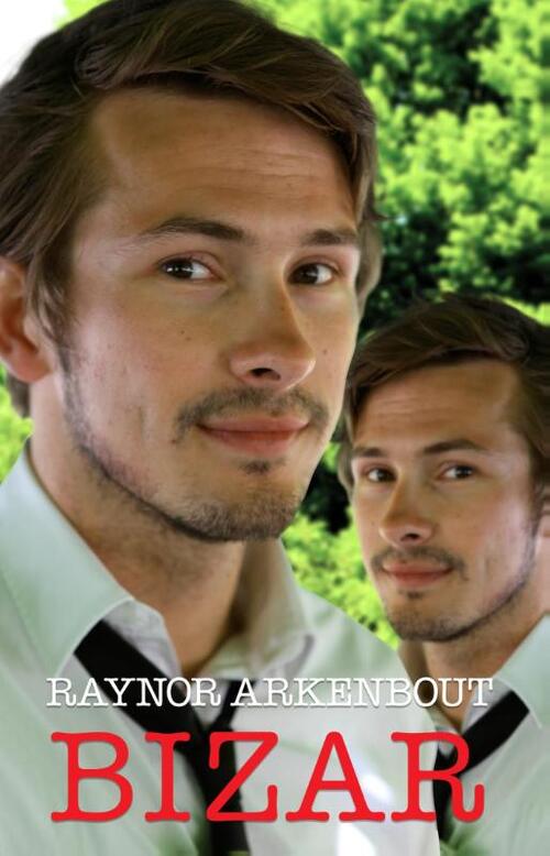 Bizar -  Raynor Arkenbout (ISBN: 9789461850362)