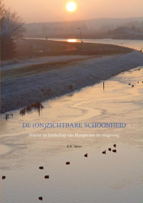 De (on)zichtbare schoonheid -  Ronald Wilfred Jansen (ISBN: 9789461931689)