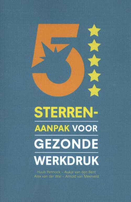 5 Sterren Aanpak Voor Gezonde Werkdruk -  Alex van der Wal, Aukje van den Bent, Huub Pennock (ISBN: 9789462153141)