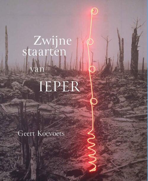 Zwijnestaarten van Ieper -  Diederik van Vleuten (ISBN: 9789462265264)