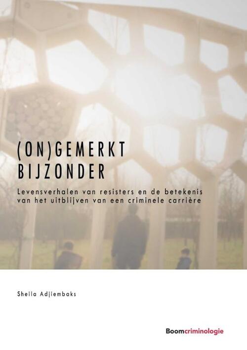 (On)gemerkt bijzonder -  Sheila Adjiembaks (ISBN: 9789462368620)