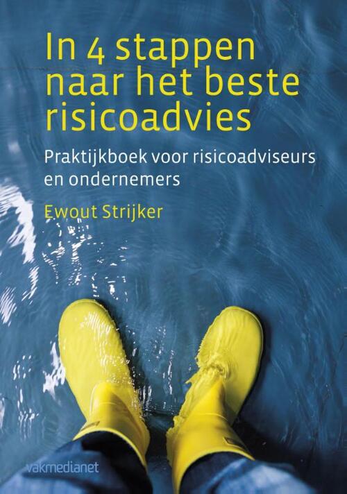 In 4 stappen naar het beste risicoadvies -  Ewout Strijker (ISBN: 9789462760530)