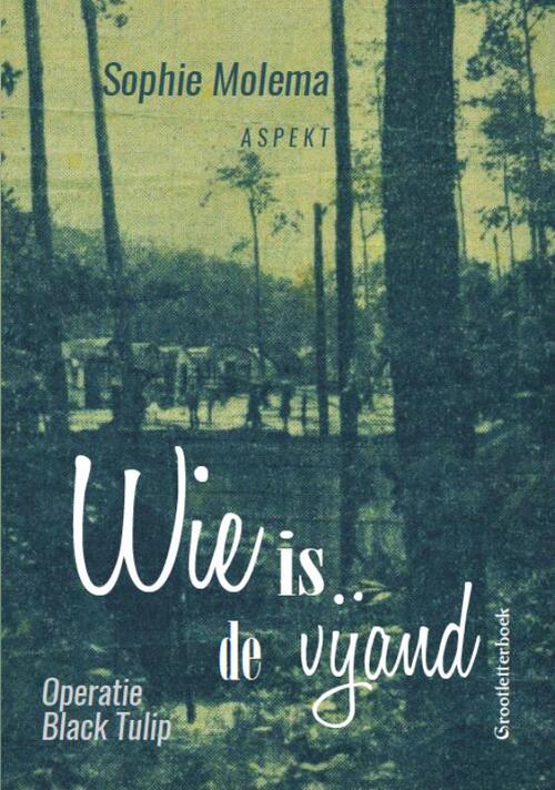 Wie Is De Vijand - grootletterboek -  Sophie Molema (ISBN: 9789463384728)