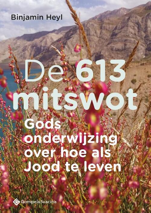 De 613 mitswot -  Binjamin Heyl (ISBN: 9789463712613)