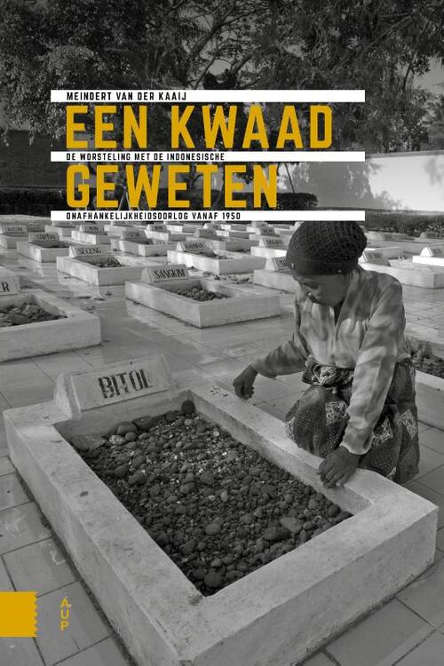 Een kwaad geweten -  Meindert van der Kaaij (ISBN: 9789463720687)