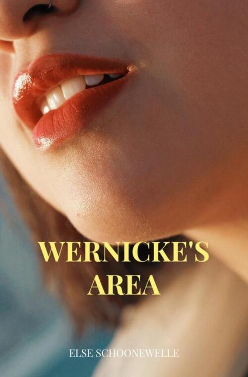 Wernicke's area -  Else Schoonewelle (ISBN: 9789464804553)