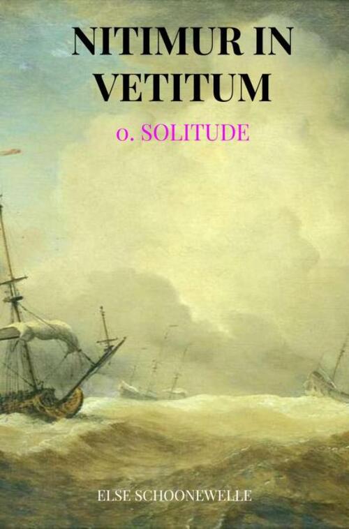 Nitimur in vetitum -  Else Schoonewelle (ISBN: 9789464809237)