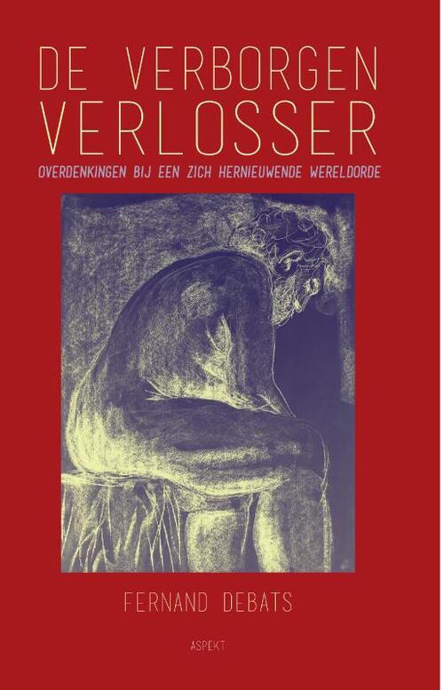 De Verborgen Verlosser -  Fernand Debats (ISBN: 9789464870725)