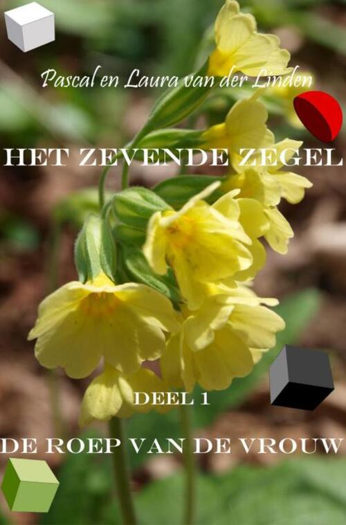 Het zevende zegel -  Pascal En Laura van der Linden (ISBN: 9789464928907)