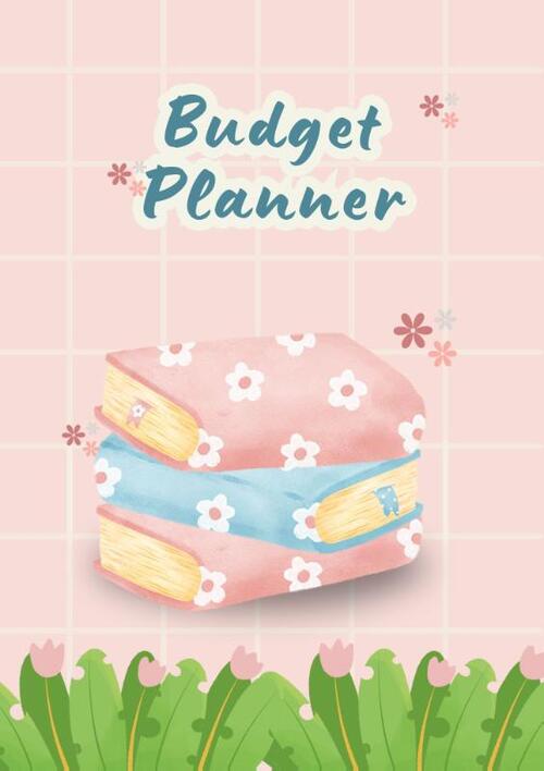 Andries B.V. Budgetplanner -   (ISBN: 9789465190402)