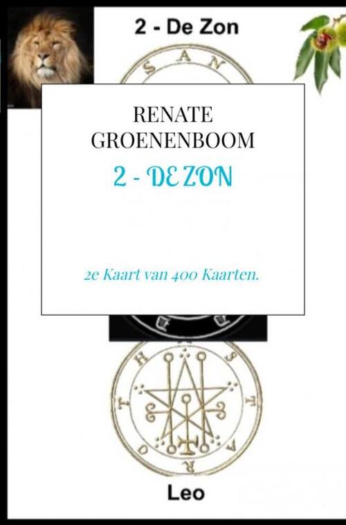 Renate Groenenboom 2 - De Zon -   (ISBN: 9789465201191)