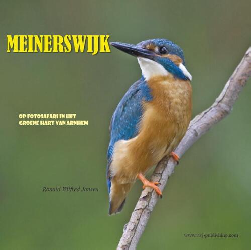 Meinerswijk -  Ronald Wilfred Jansen (ISBN: 9789490482053)