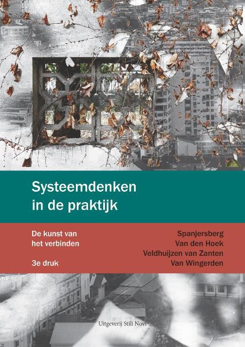 Systeemdenken in de praktijk -  Annet van den Hoek (ISBN: 9789491076268)