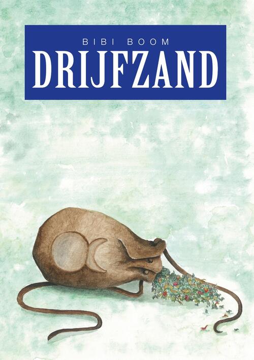 Drijfzand -  Bibi Boom (ISBN: 9789492115768)