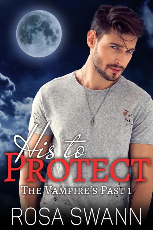 His to Protect -  Rosa Swann (ISBN: 9789493139367)