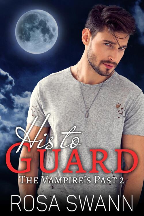 His to Guard -  Rosa Swann (ISBN: 9789493139381)