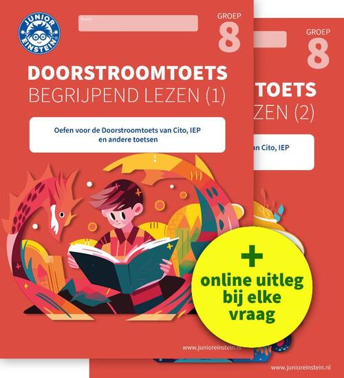 Doorstroomtoets Begrijpend Lezen Junior Einstein Boek Bruna