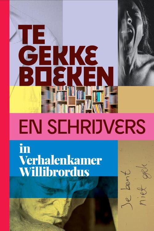 Te gekke boeken en schrijvers in Verhalenkamer Willibrordus -  Marijn van Hoorn (ISBN: 9789493219991)